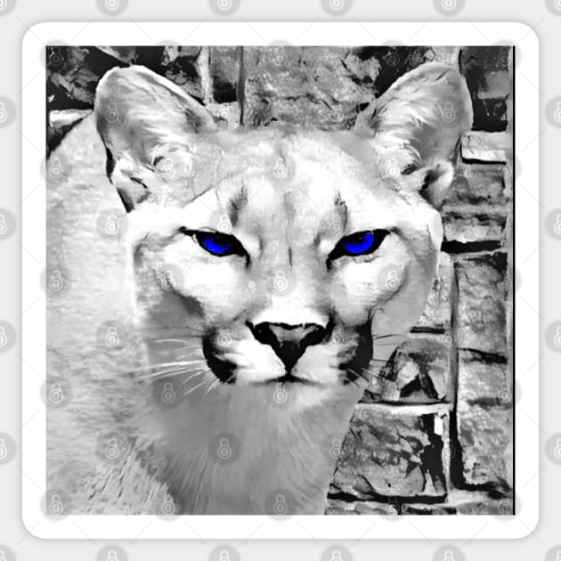 White puma cat sales